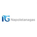 Logo del cliente NapoletanaGas